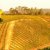 alveiro soc. agrcola